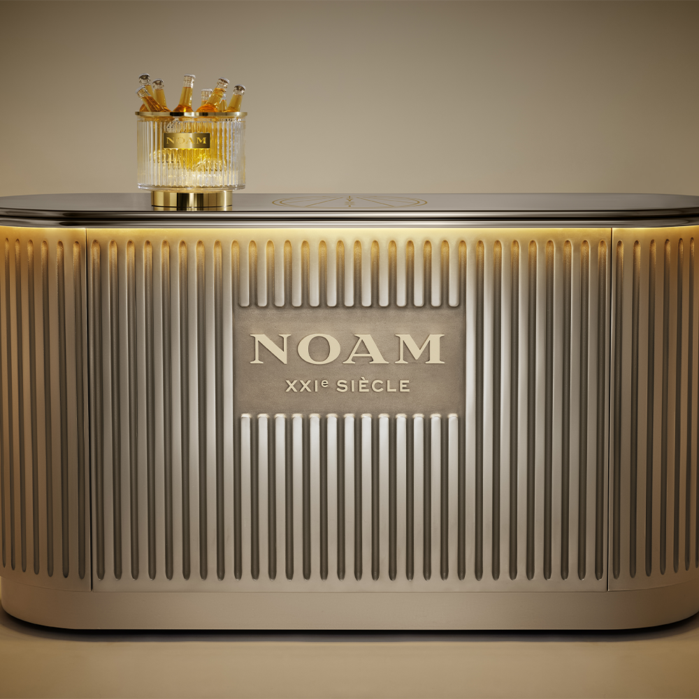 noam4